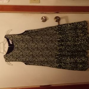 Ann Taylor LOFT Dress